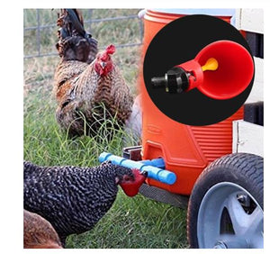 Fowl Drinker Cups